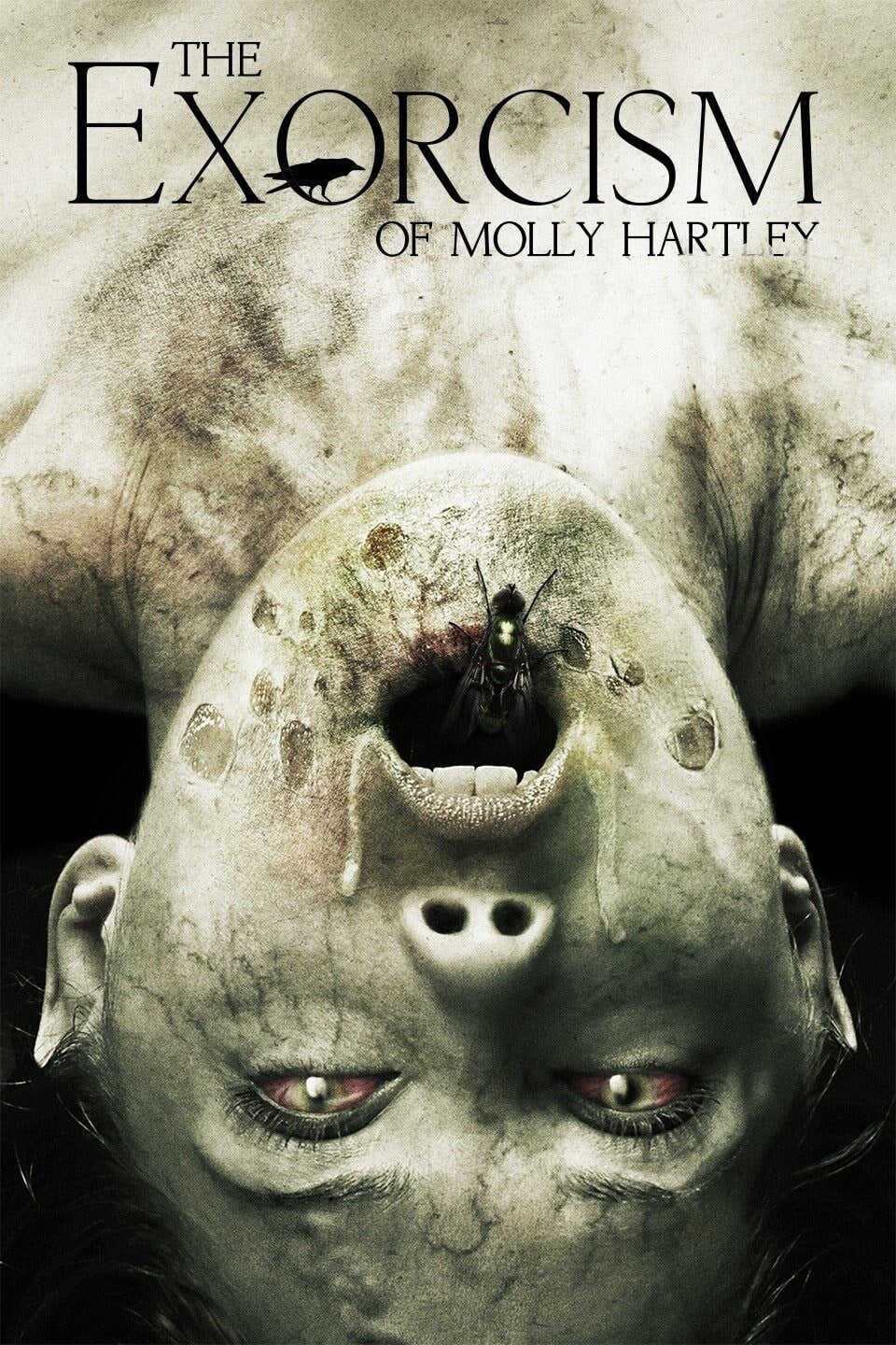 Poster phim Nỗi Ám Ảnh Của Molly