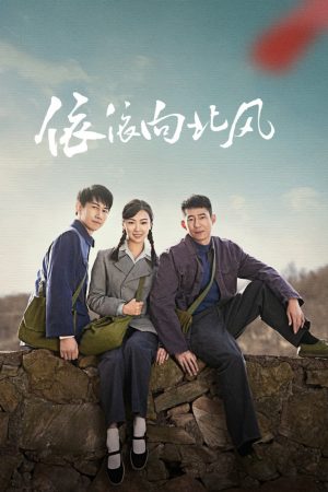Poster phim Nỗi Nhớ Theo Gió Bắc