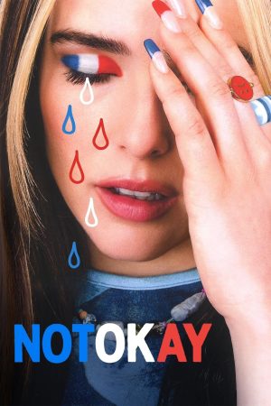 Poster phim Not Okay