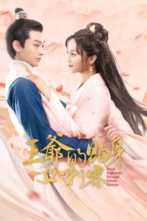 Poster phim Nữ Sát Thủ Cận Vệ Của Vương Gia