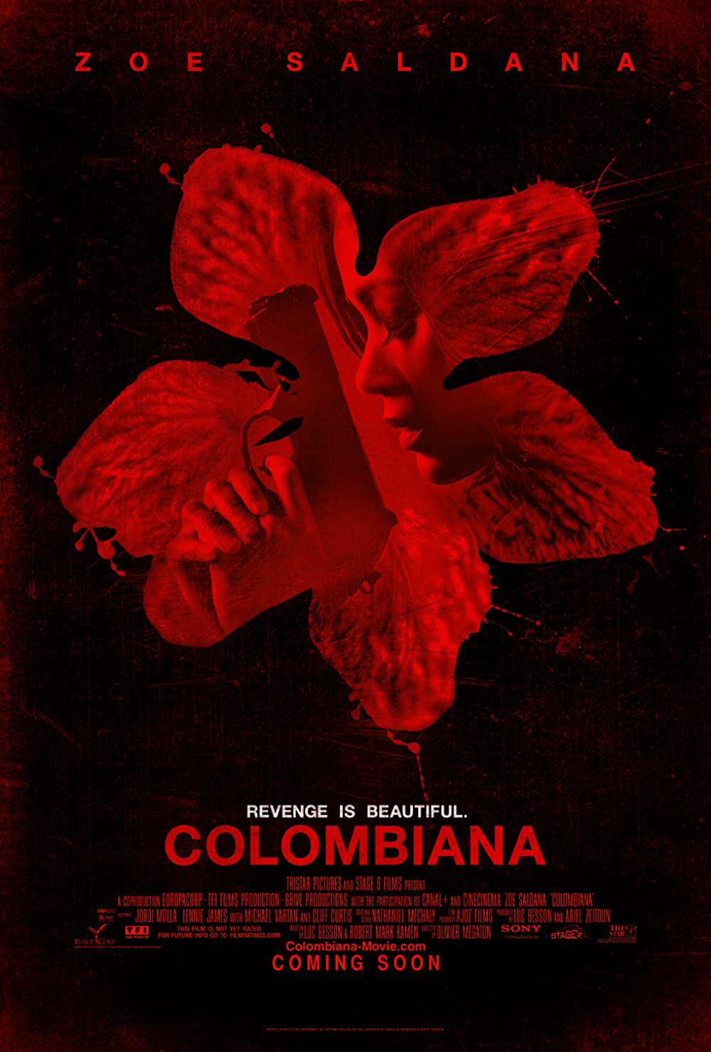 Poster phim Nữ sát thủ Colombiana