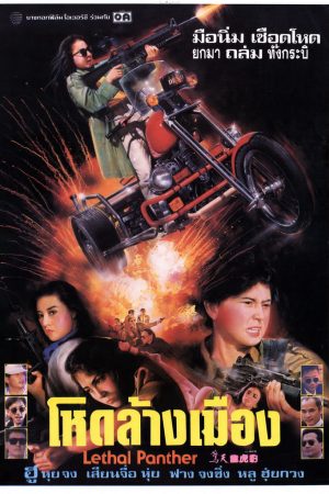 Poster phim Nữ Sát Thủ Xinh Đẹp