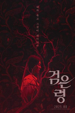 Poster phim Oán Hồn Trong Vali