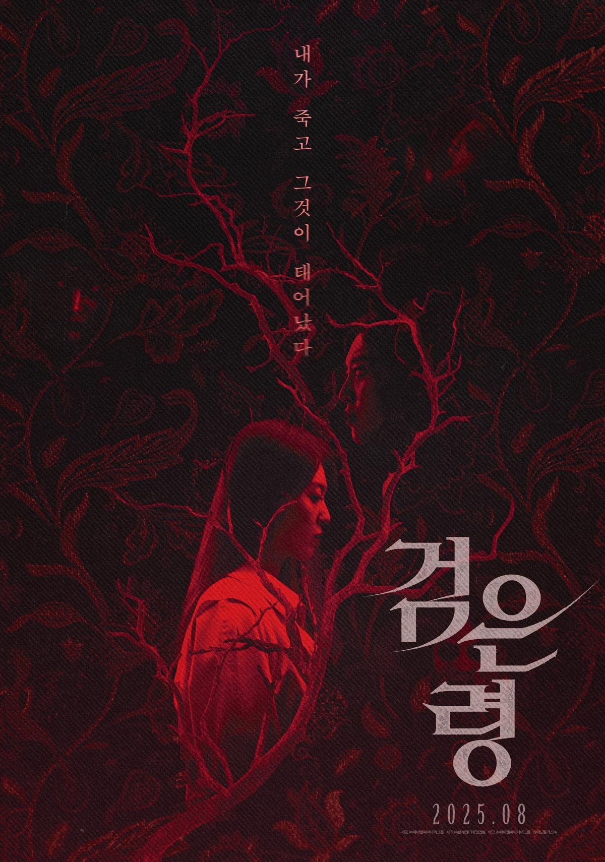 Poster phim Oán Hồn Trong Vali