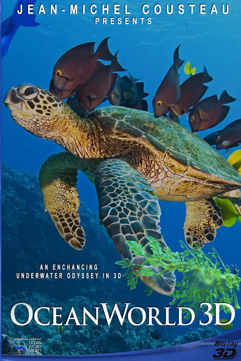 Poster phim OceanWorld 3D