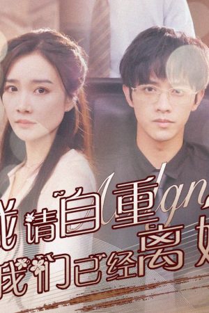 Poster phim Ông Tổng Giám Đốc, Xin Hãy Tự Trọng – Chúng Ta Đã Ly Hôn Rồi
