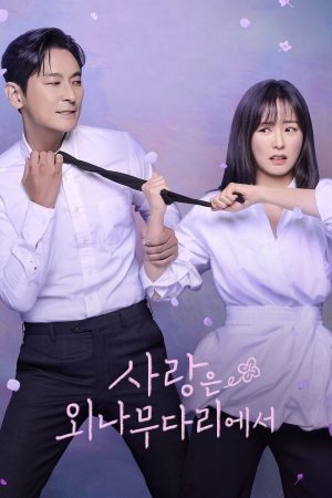 Poster phim Tình Yêu Trên Cây Cầu Độc Mộc