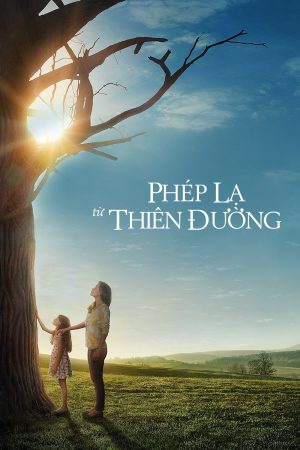 Poster phim Phép lạ từ thiên đường