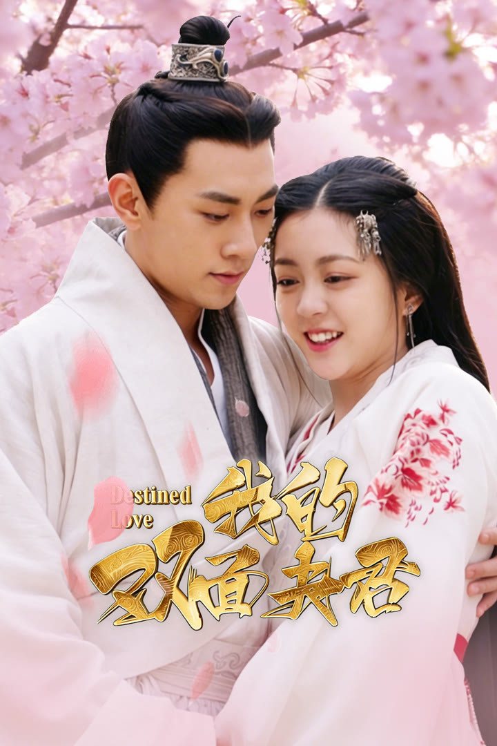 Poster phim Ngã Đích Song Diện Phu Quân