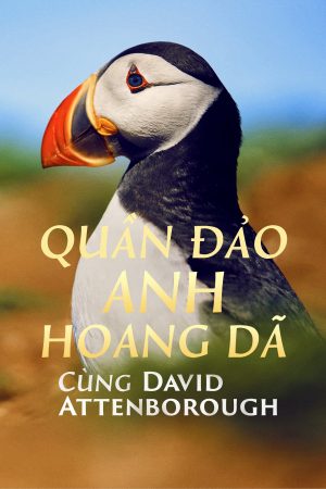 Poster phim Quần Đảo Anh Hoang Dã