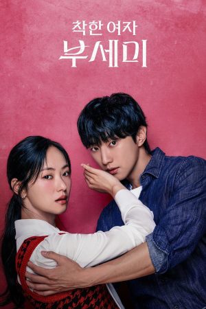 Poster phim Quý Cô Ẩn Danh