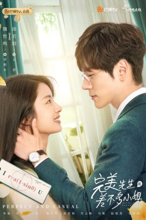 Poster phim Quý Ông Hoàn Hảo Và Cô Nàng Tạm Được