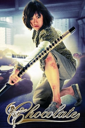 Poster phim Quyền Cước Thượng Đẳng