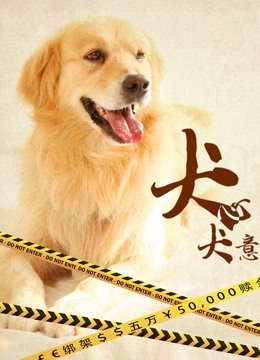 Poster phim Quyết tâm của chó