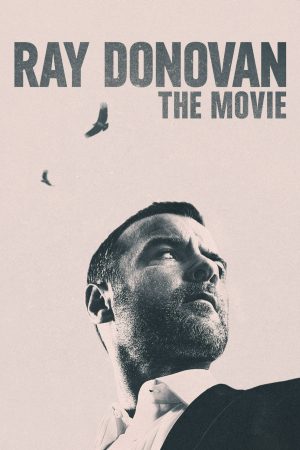Poster phim Ray Donovan Finale
