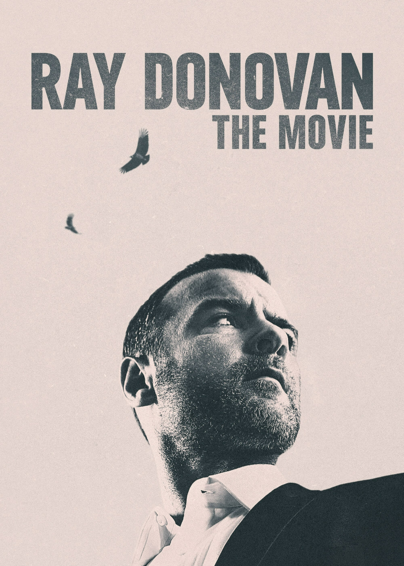 Poster phim Ray Donovan Finale
