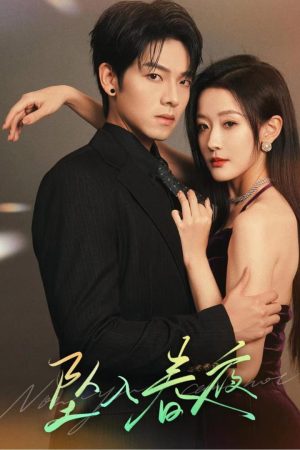Poster phim Rơi Vào Đêm Xuân
