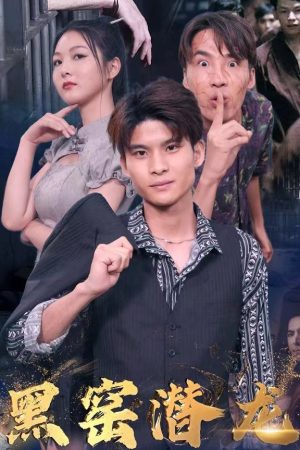 Poster phim Rồng Ẩn Trong Lò Đen