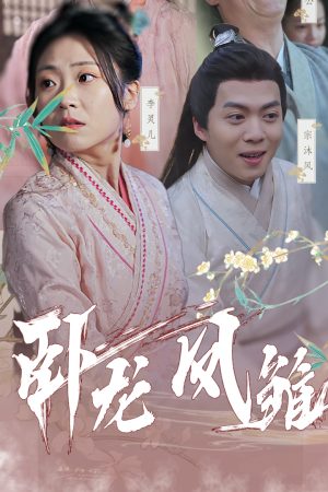 Poster phim Rồng Ẩn và Phụng Hoàng Vươn Bay
