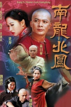 Poster phim Rồng Nam Phượng Bắc