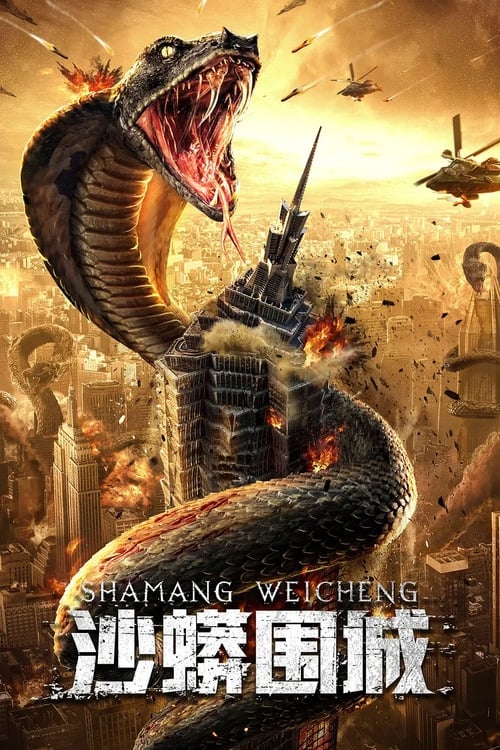 Poster phim Sa Mãng Vây Thành