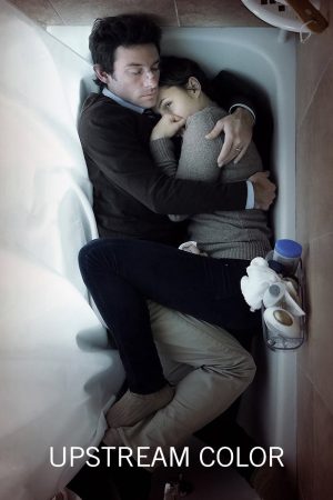 Poster phim Sắc Màu Ngược Dòng