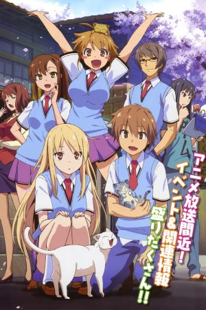 Poster phim Sakurasou No Pet Na Kanojo