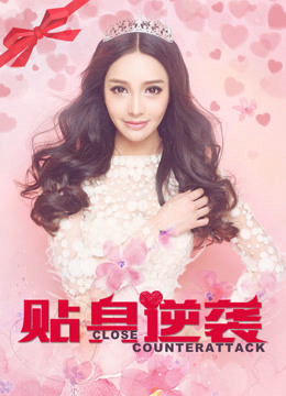 Poster phim Sát cánh phản công