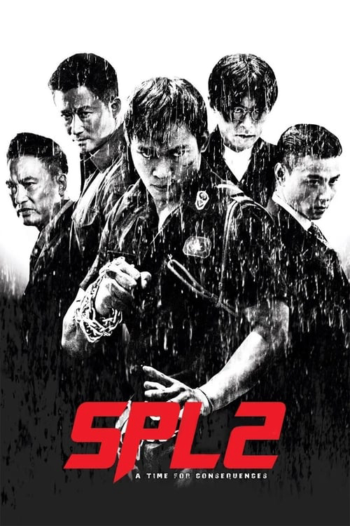 Poster phim Sát Phá Lang 2: Giết Không Tha