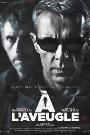 Poster phim Sát Thủ Mù Lòa