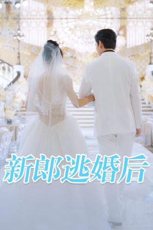 Poster phim Sau Khi Chú Rể Bỏ Trốn