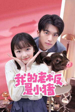 Poster phim Sếp Của Tôi Là Chú Lợn Nhỏ