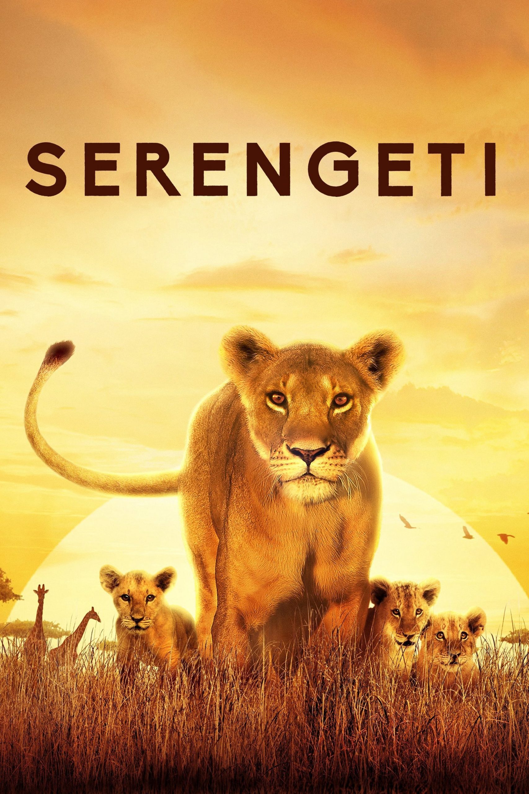 Poster phim Serengeti