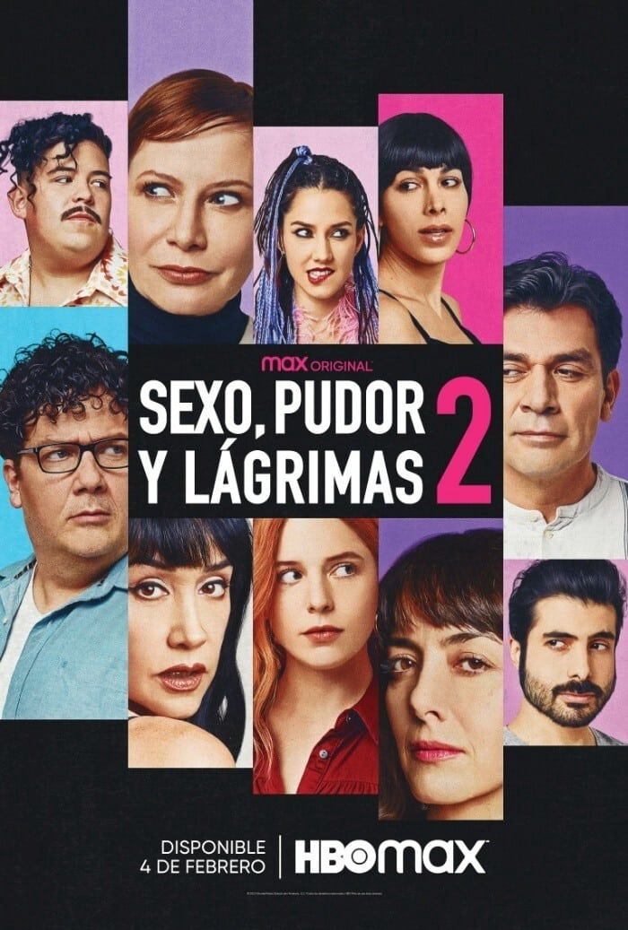 Poster phim Sex, Shame and Tears 2