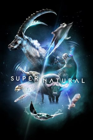 Poster phim Super/Natural