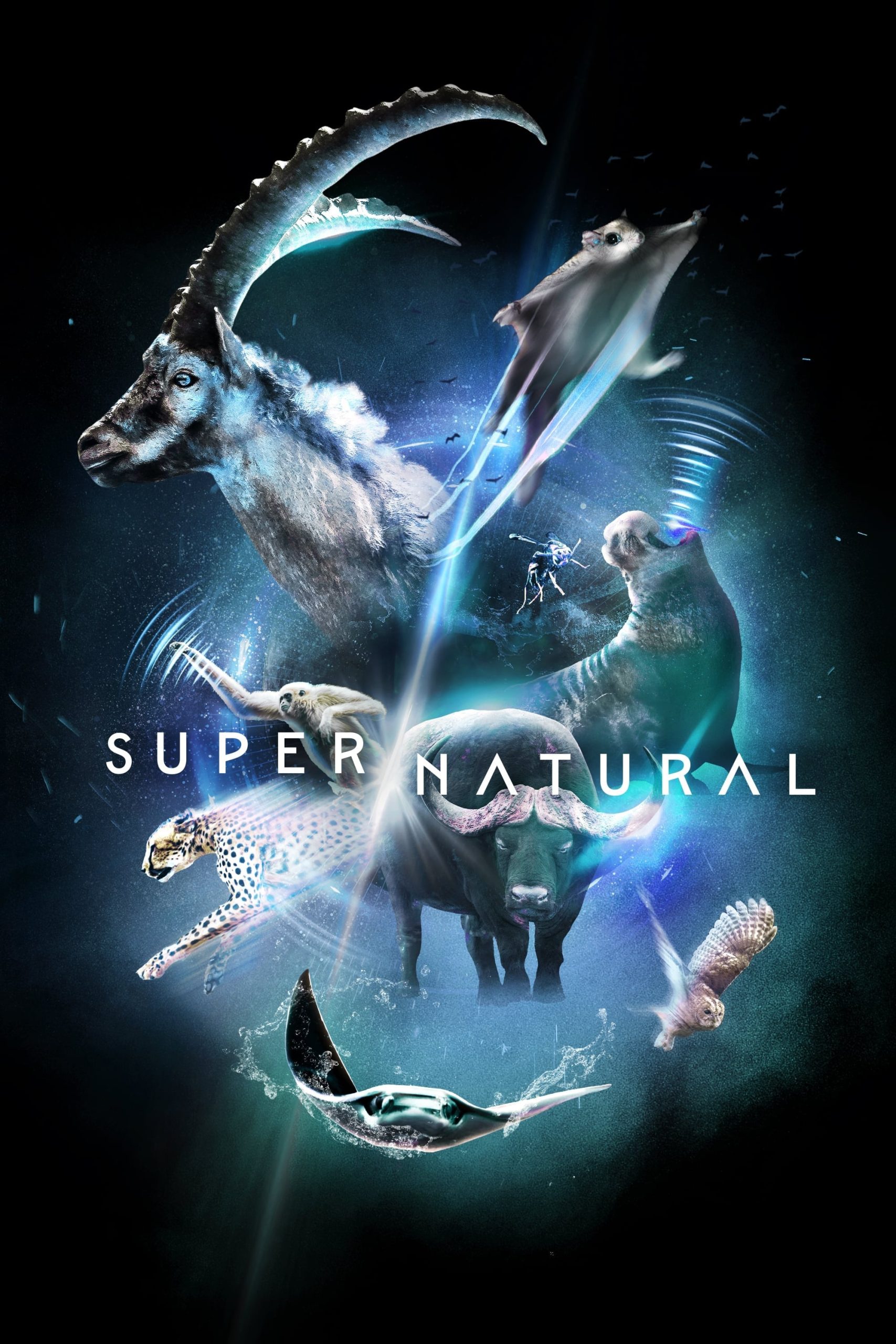Poster phim Super/Natural