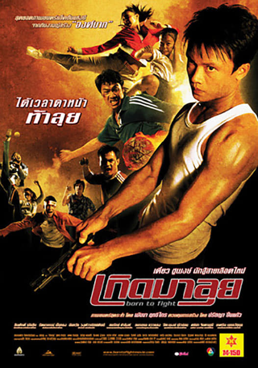 Poster phim Sinh Ra Để Chiến Đấu
