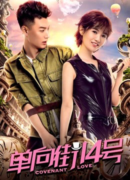 Poster phim Số 14 đường ngược chiều