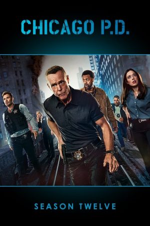 Poster phim Sở Cảnh Sát Chicago (Phần 5)