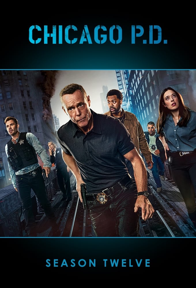 Poster phim Sở Cảnh Sát Chicago (Phần 5)