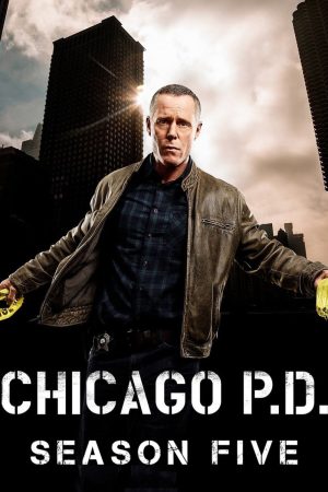 Poster phim Sở Cảnh Sát Chicago (Phần 5)