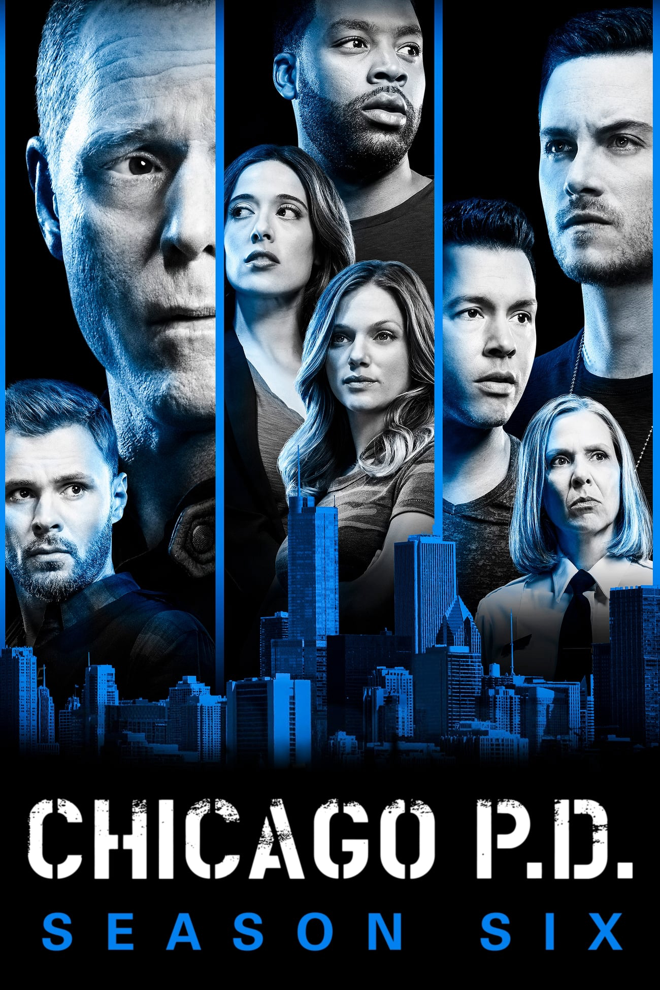 Poster phim Sở Cảnh Sát Chicago (Phần 6)
