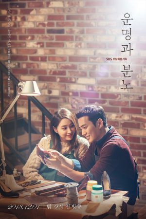 Poster phim Số Phận Và Giận Dữ
