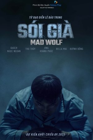 Poster phim Sói Già