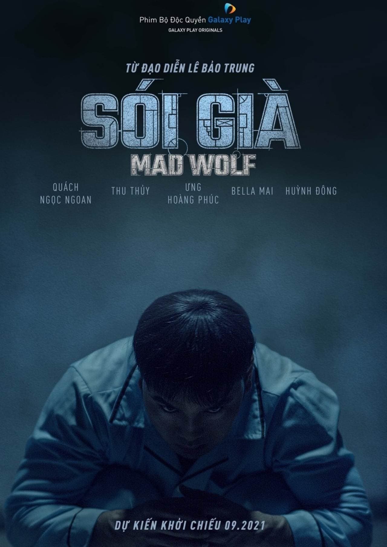 Poster phim Sói Già