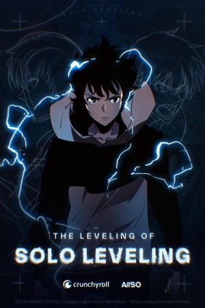 Poster phim THE LEVELING OF SOLO LEVELING