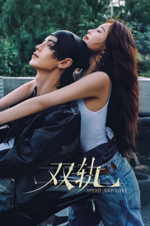 Poster phim Song Quỹ