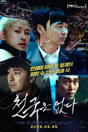 Poster phim Song Sinh Đổi Mạng