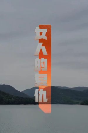 Poster phim Sự Báo Thù Của Người Phụ Nữ