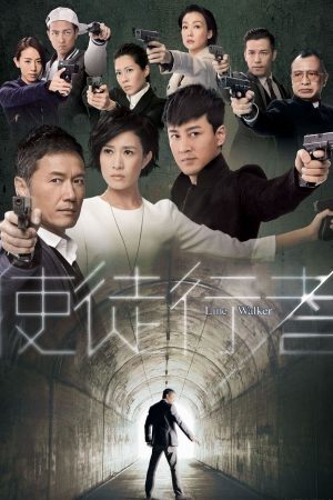 Poster phim Mất Dấu